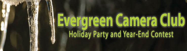 End of Year Party and Competition!