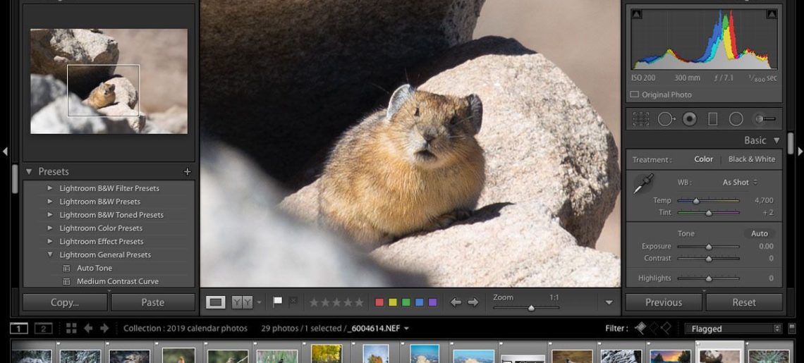 Lightroom Classic Basics with Tom Goldberg