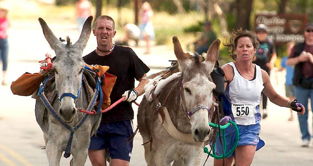 The Western Pack Burro Association is looking for <br>Photographers