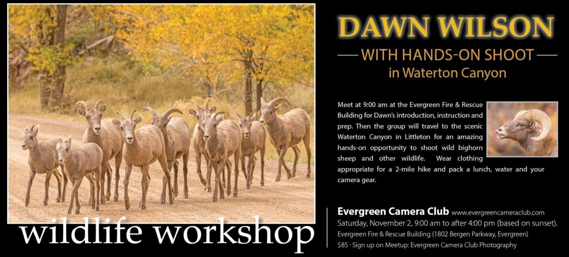 Dawn Wilson: Hands-On Shoot in Waterton Canyon