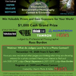 What Do Judges Look For in a Photo Contest?
