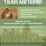 Talons and Tripods