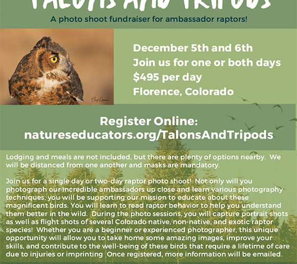 Talons and Tripods
