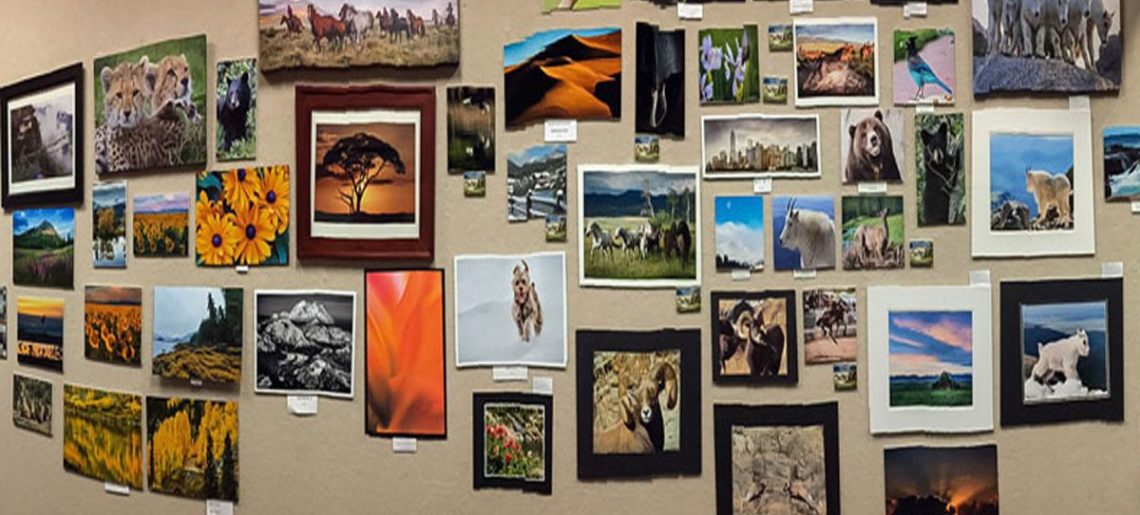 MAY 26th 2021 T&T: Mounting Photos for Library Display